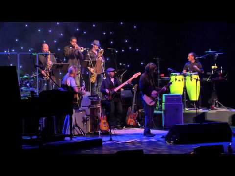 Gregg Allman LIVE - 