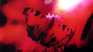 Porcupine Tree - Yellow Hedgerow Dreamscape [Full Album]