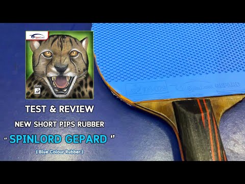Test & Review New Short Pips Rubber '' Spinlord Gepard 2.0 '' ( Blue Colour Rubber )