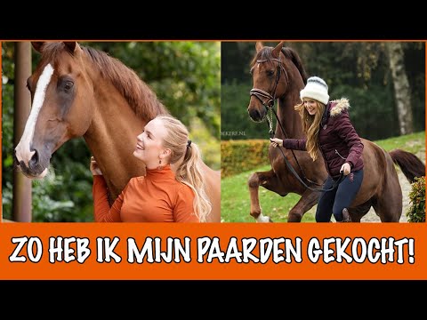 , title : 'Hoe koop je een goed paard? | PaardenpraatTV'