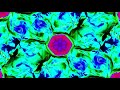 Ozric Tentacles - Pixeldream [Visualization] (MD2)