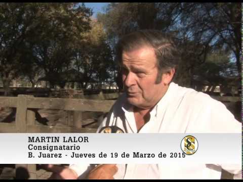 Nota a Martin Lalor - Martin G. Lalor S.A. - B. Juarez. 19-03-2015