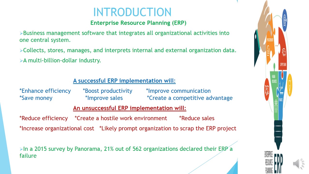 IS 8005 ERP Presentation pptx