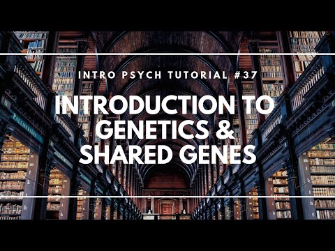 Neuron Structure Parts of a Neuron Intro Psych Tutorial 23