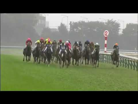 2017.10.29 Tenno Sho (Autumn)(JPN) - Kitasan Black