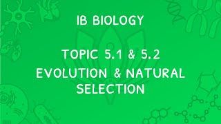 IB Biology Topic 5.1 & 5.2: Natural Selection & Evolution