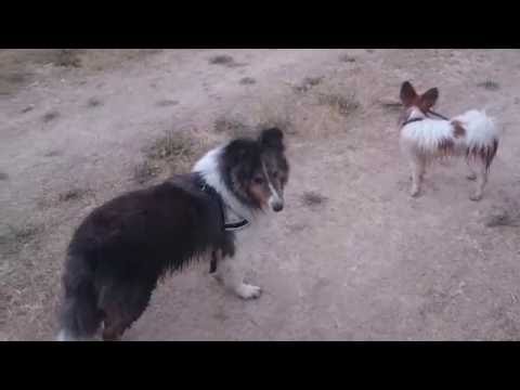 Tuco, Chavo y Raisa (verano 2016)