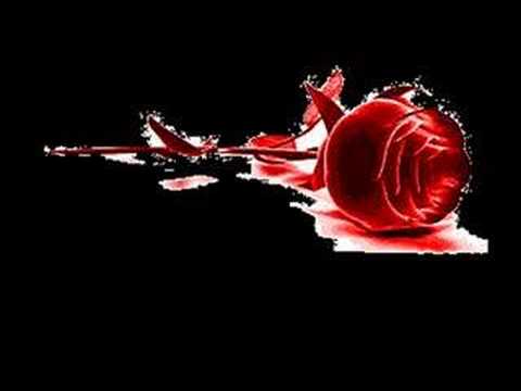 Dj GökcaN : YIKILMAMA SEVİNMİŞSİN