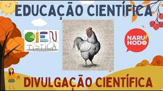Estatística Psicobio II 2024 #23 - DAG I - Directed Acyclic Graphs - Princípios de Causalidade