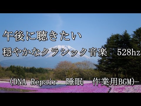 午後に聴きたい穏やかなクラシック音楽