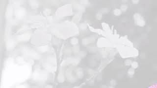 Download lagu Percakapan Cowok & Cewek versi islami bikin baper 2018 #1 mp3