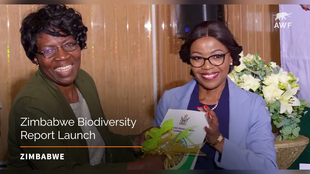 AWF 2023 Year End Video