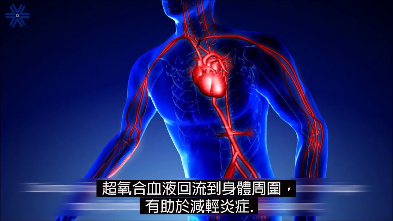 【極地冷凍艙】全身冷凍療法 痠痛疲勞 熱量脂肪 解散