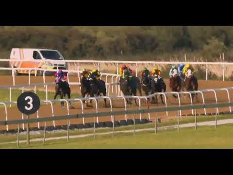 BOLD RESOLVE - RACE 5 #FAIRVIEW 26 AUGUST 2022