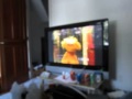 MVI 5756 Sesame Street Episodes