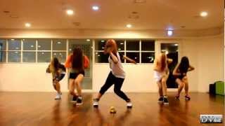 EvoL - We Are A Bit Different (dance practice) DVhd