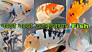 এ্যাকুরিয়াম ফিস শ্রীরামপুরের হাটে | Aquarium Fish Price | Serampore Pet Market | Pet Aquarium Fish