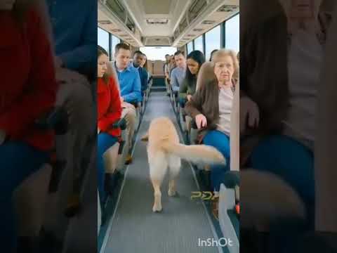 அருமையான வீடியோ பாருங்கள்