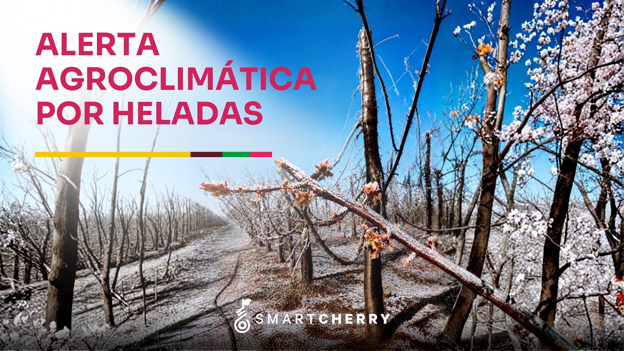 Alerta agroclimática por heladas en zona central: Advierten temperaturas de hasta -3°C