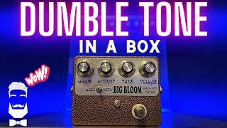 Video thumbnail for Amplified Nation Big Bloom - OMG This Is AMAZING! Dumble Amp Tone In A Box! by Buddy Blues