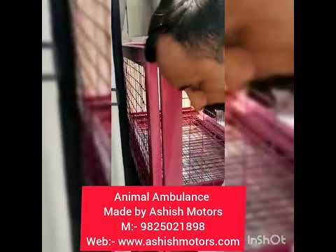 Animal Ambulance on Maruti Eeco