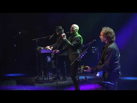 NIGHT FEVER - Christmas Gift Nr. 12  -  12.12.2021  **STAYIN' ALIVE MEDLEY**