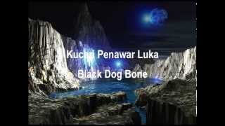 Ku Cari Penawar Luka Music Video