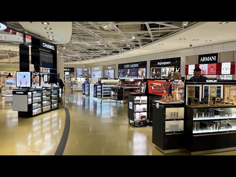 Arrival at Frankfurt International Airport (FRA), Connection Flight