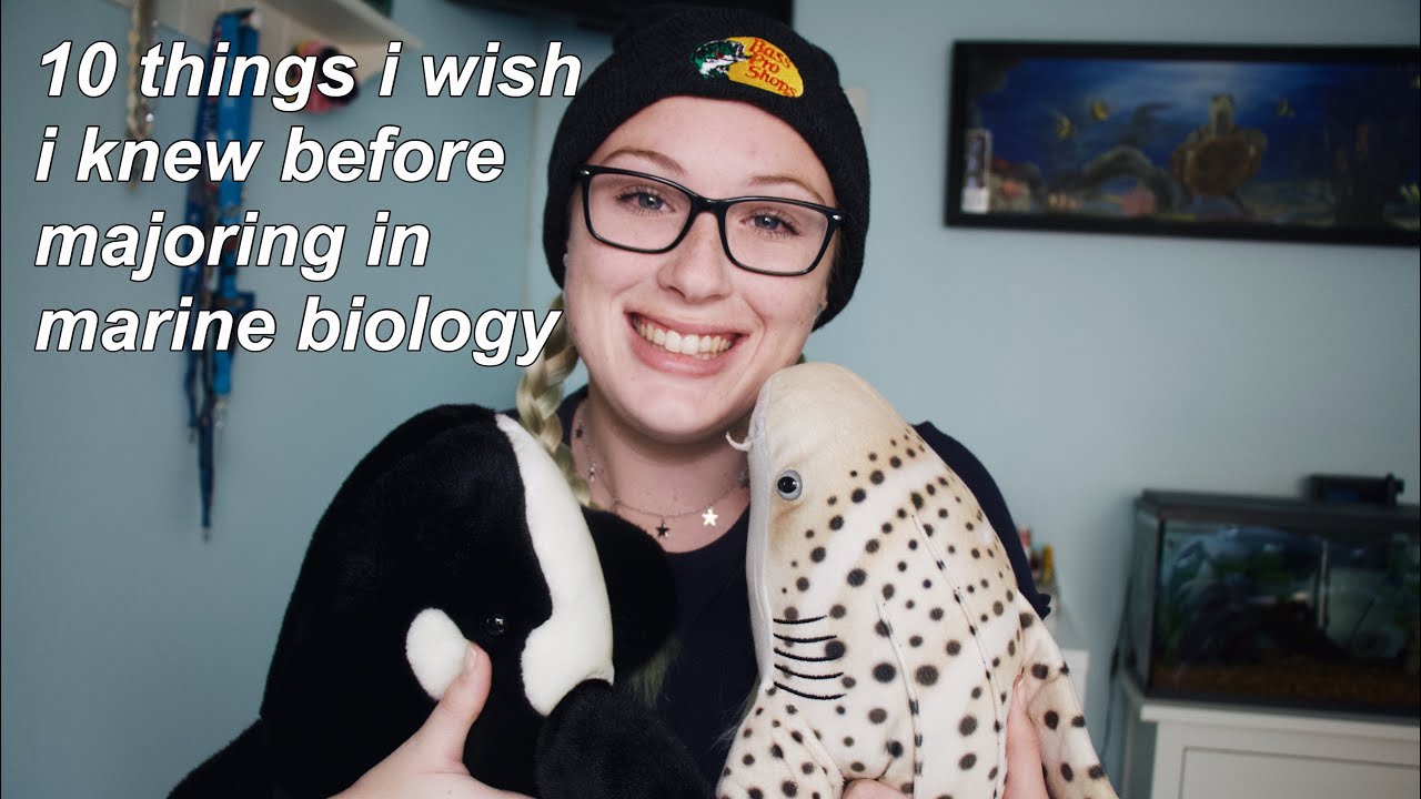 10 things i wish i knew before majoring in marine bio
