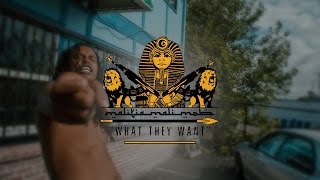 Malitia Malimob "What They Want" Official Video