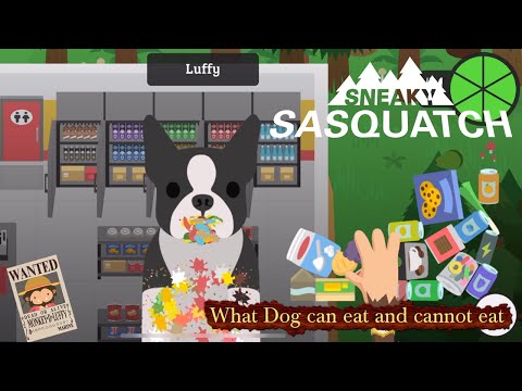 Sneaky Sasquatch Info - Dog food | What food can he eat?