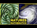 The Spiraling Mechanics of GOATA - Unleash Your Body’s Potential