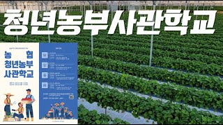 [농업교육정보] 청년농부사관학교 소개 / 스마트팜 / 농협