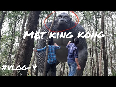met king Kong 😱| nirmit park | #vlog-4