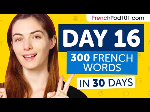 Day 16: 160/300 | Learn 300 French Words in 30 Days Challenge