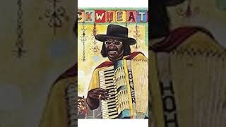 ZYDECO ROCK #buckwheat #zydeco #music