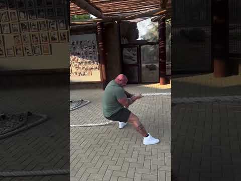 Man vs Tiger in Tug of War 😱🐅