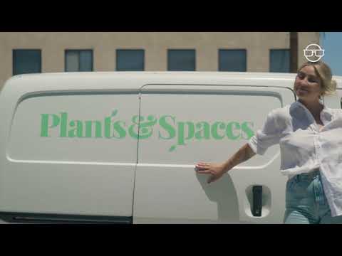 SynkBooks video.