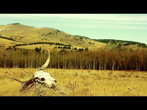 Forecasting The End: Deadly Gamma Ray Burst