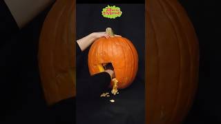 Make Your Own Hum Jack-O'-Lantern from Zip and the Tiny Sprouts! | Pumpkin Carving