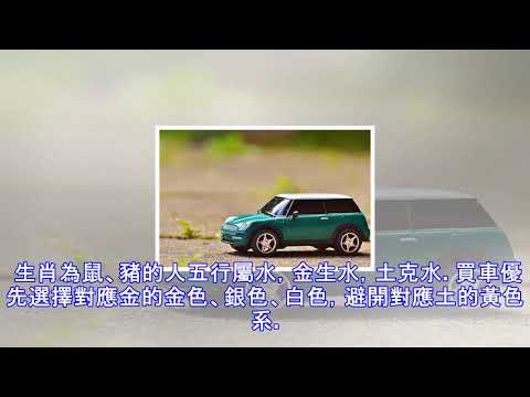 生肖買車顏色