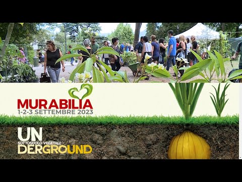 Murabilia 2023, aperta la prevendita dei biglietti