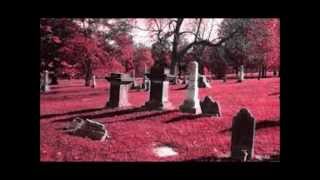 STILL BLEEDING -Shelrock feat. Raw -B- Snatch.(R.I.P, Bajan, Draxx & Dallas) Prod.By @chris_crizzi