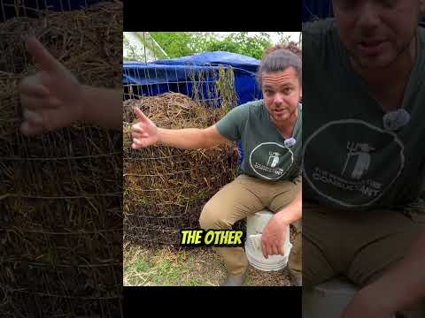 Fungi's Freaky Power in Permaculture #Shorts