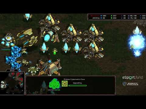 BSL 13 Hasuleague Semifinal White v Masucci game 2