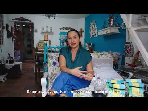 miPáramo Emprende - Café Rocío de la Montaña - Tona, Santander