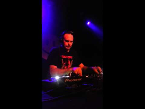 buzz fuzz solo night