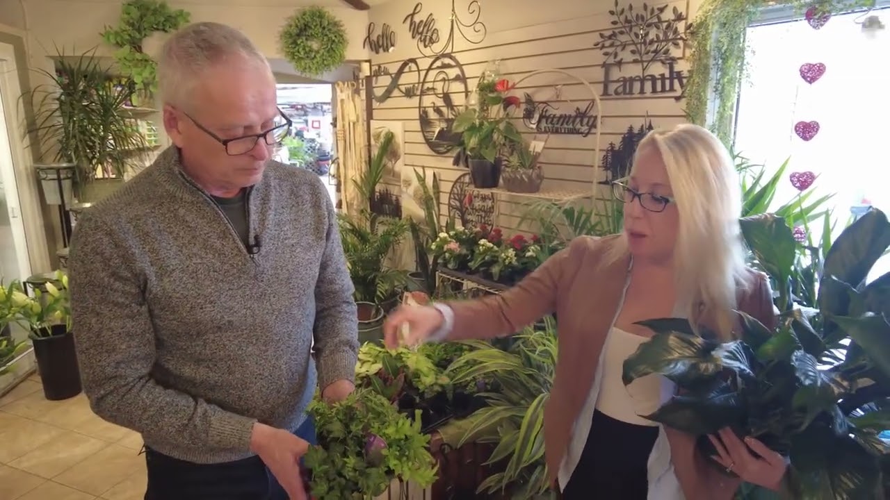 Welcome Home With Jacqui - Greenery Options For Your Home