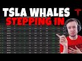 TESLA Stock - TSLA Whales Stepping In