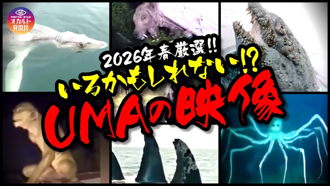 【映像】いるかもしれない⁉UMAの映像